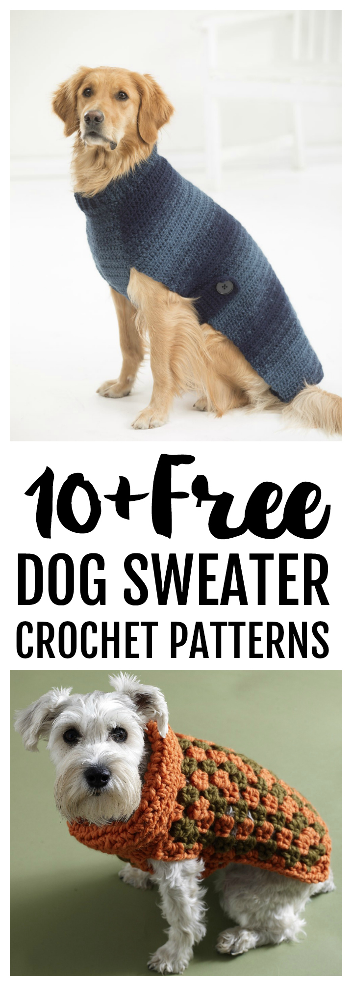 Free Dog Sweater Crochet Patterns - Psychedelic Doilies